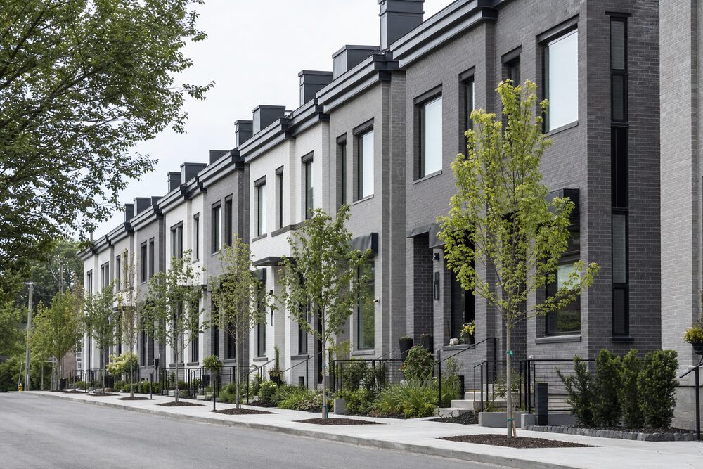 south cambridge terrace